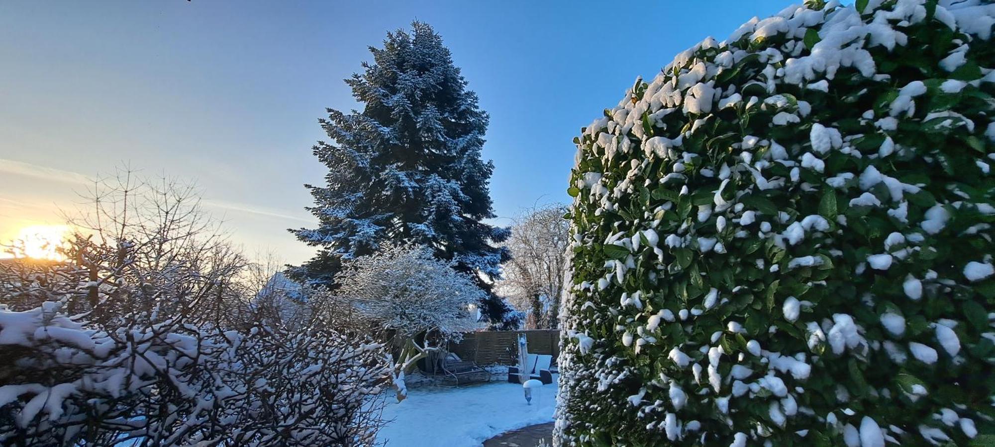Bungalow An Der Tanne Mit Ueberdachter Terrasse Düsseldorf Dış mekan fotoğraf