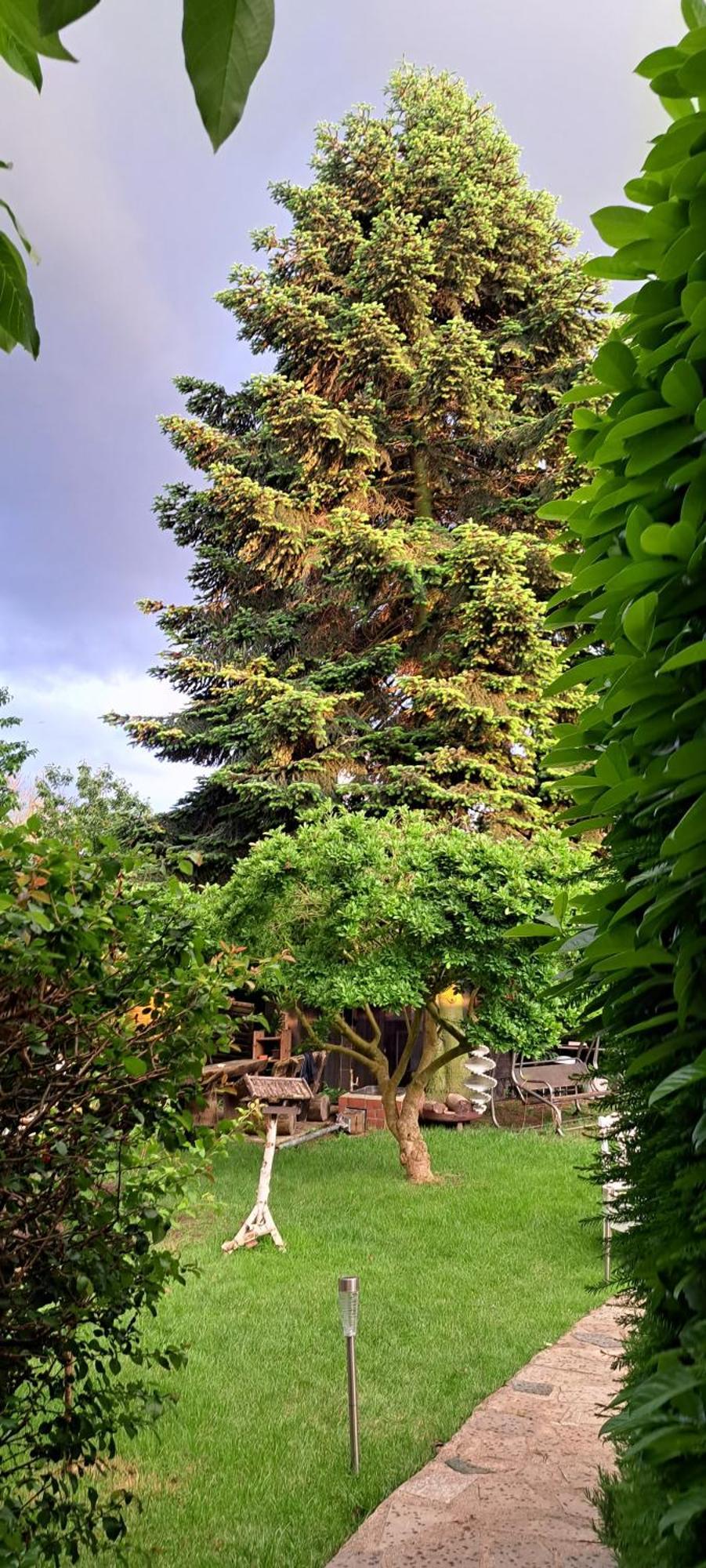 Bungalow An Der Tanne Mit Ueberdachter Terrasse Düsseldorf Dış mekan fotoğraf
